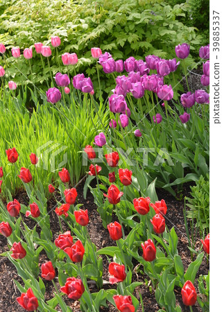 spot- H?tel du Parlement 39885337