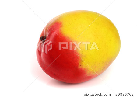 Mango fruit isolated on white background close-up Mango fruit isolated on white background close-up 39886762