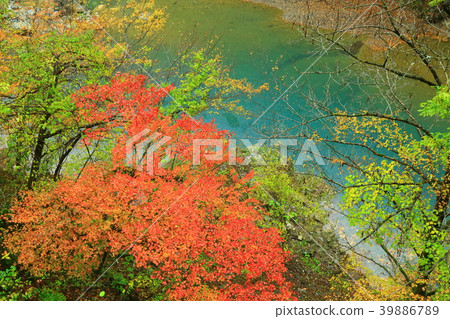 Autumn dreaming canyon Autumn dreaming canyon 39886789