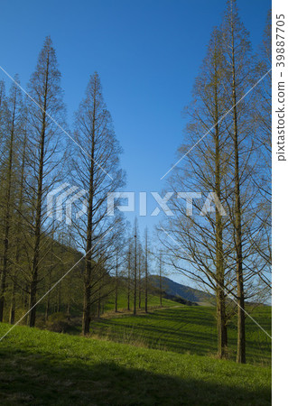 For Beginners 39887705