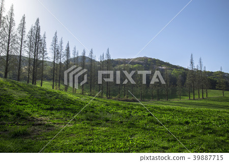 For Beginners For Beginners 39887715