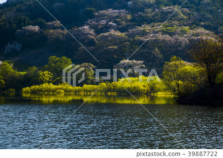 For Beginners For Beginners 39887722