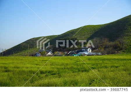 For Beginners 39887745