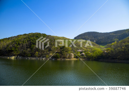 For Beginners For Beginners 39887746