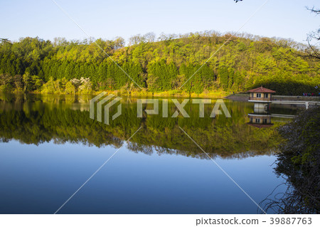 For Beginners For Beginners 39887763