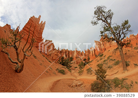 Bryce Canyon National Park, Utah, United States 39888529