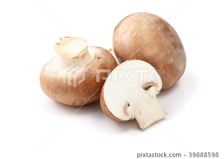 Royal Brown champignon with half isolated on white 39888598