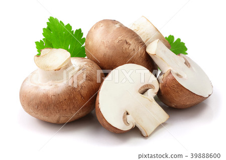 Royal Brown champignon with half and parsley leaf 39888600