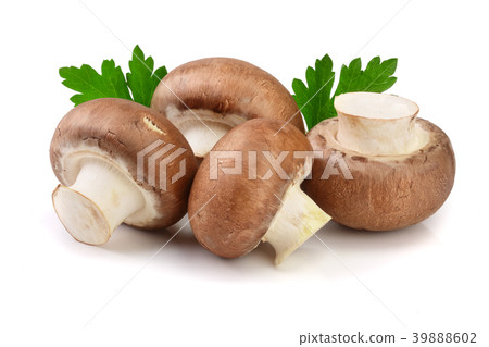 Royal Brown champignon with parsley leaf isolated 39888602