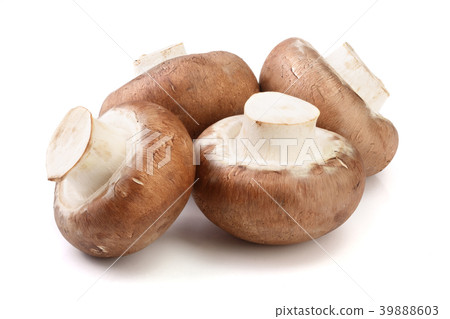 Royal Brown champignon isolated on white Royal Brown champignon isolated on white 39888603