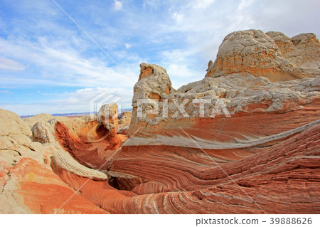 Butterfly, a rock formation at White Pocket 39888626