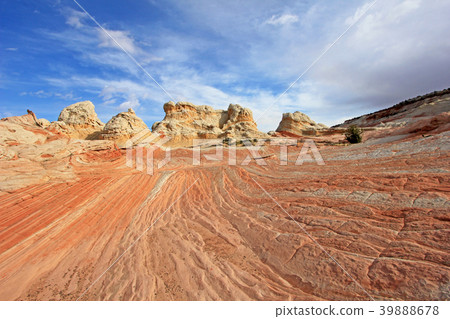 Butterfly, a rock formation at White Pocket 39888678