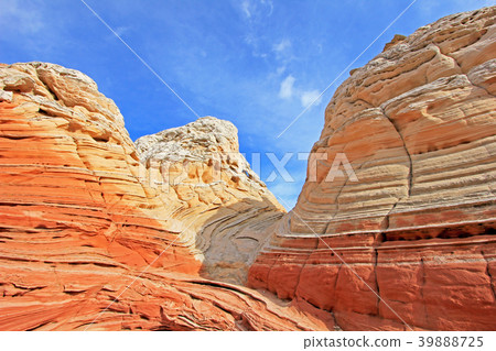 Butterfly, a rock formation at White Pocket Butterfly, a rock formation at White Pocket 39888725