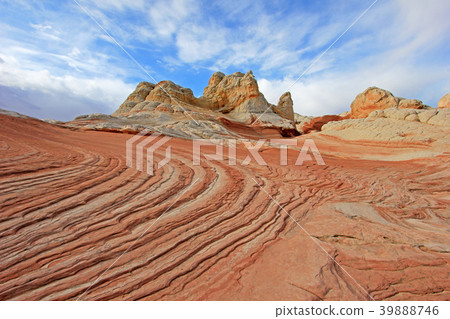 Butterfly, a rock formation at White Pocket Butterfly, a rock formation at White Pocket 39888746