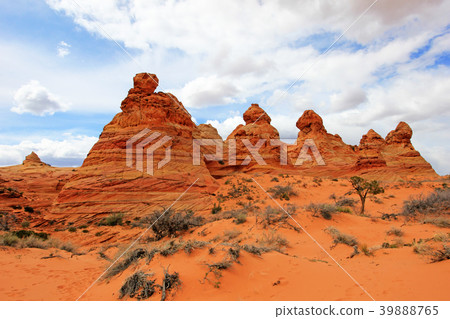 Cottonwood Teepees, a rock formation near The Wave 39888765