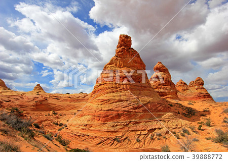 Cottonwood Teepees, a rock formation near The Wave 39888772