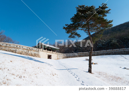 wall, winter, acidity 39888817