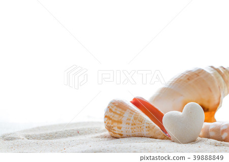 Heart-shaped corals and shells Heart-shaped corals and shells 39888849
