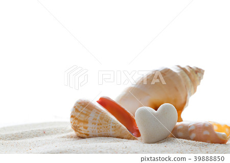 Heart-shaped corals and shells 39888850