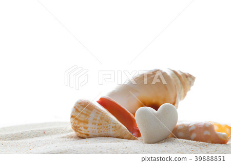 Heart-shaped corals and shells 39888851