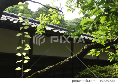 Jochi寺廟地面的瓦片屋頂 Jochi寺廟地面的瓦片屋頂 39889288