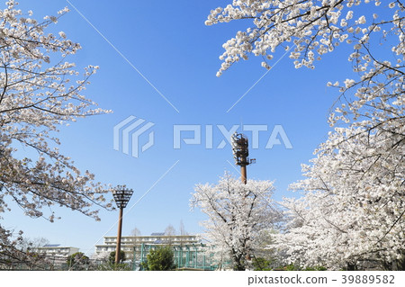 足立區東綾瀨公園藍天和櫻花棒球場的照明塔 足立區東綾瀨公園藍天和櫻花棒球場的照明塔 39889582