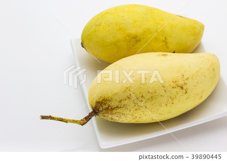Mango on white background 39890445