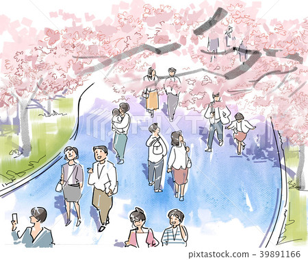 Cherry blossom viewing-walking 39891166