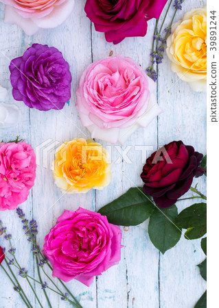 multi-colored roses, top view multi-colored roses, top view 39891244