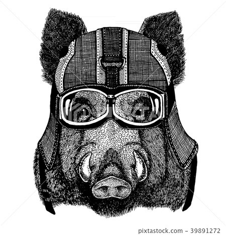 Wild hog, pig, aper, boar. Animal wearing 39891272