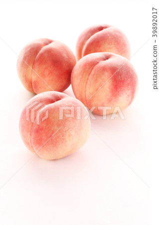 Momo · Whole Vertical Akatsuki 01 Momo · Whole Vertical Akatsuki 01 39892017