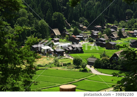 Summer Shirakawa Town Summer Shirakawa Town 39892280