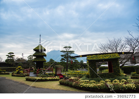 Kagoshima Fall Senshuen Kiku Festival 39892773