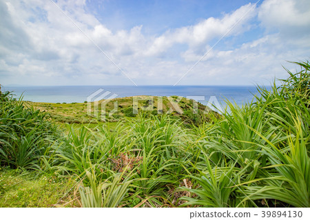 Views from Okinawa, Ishigakijima and Hirakubosaki Views from Okinawa, Ishigakijima and Hirakubosaki 39894130