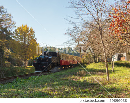 Autumn Satoyama Torokko Autumn Satoyama Torokko 39896088