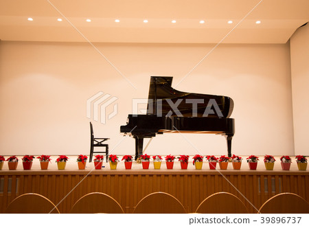 大鋼琴在舞台上 大鋼琴在舞台上 39896737