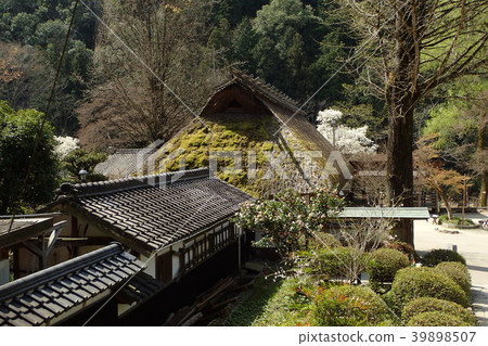 Spring of Sansuke Ashiki Yashiki Spring of Sansuke Ashiki Yashiki 39898507
