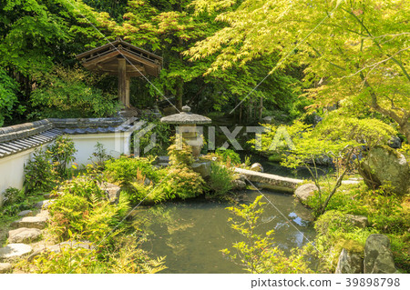 Tsunaji按鈕節 39898798