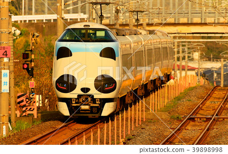 Panda Kuroshio No. JR 287 Panda face Express Train Kuroshio 71 Panda Kuroshio No. JR 287 Panda face Express Train Kuroshio 71 39898998
