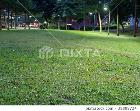 晚上的公園 晚上的公園 39899724