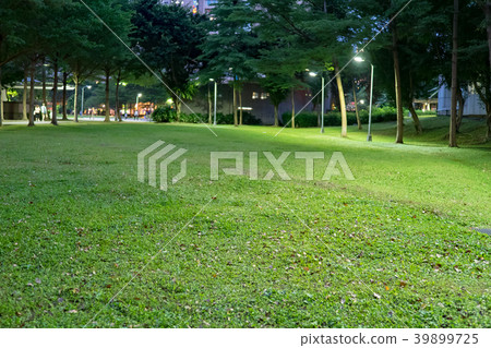 晚上的公園 39899725
