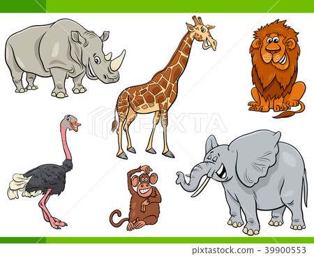 cartoon safari animal characters set cartoon safari animal characters set 39900553