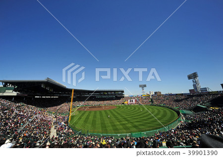 Stadium-21 Stadium-21 39901390