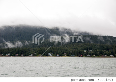 Alaska USA - Cruising in Auke Bay in a cloudy day Alaska USA - Cruising in Auke Bay in a cloudy day 39901893