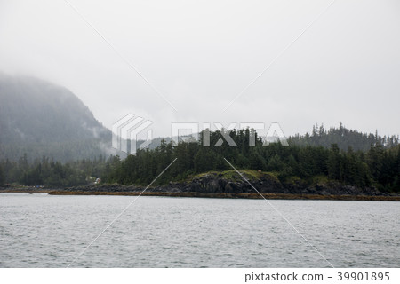 Alaska USA - Cruising in Auke Bay in a cloudy day 39901895