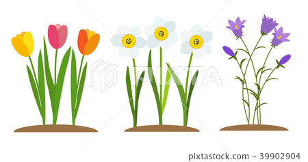 Spring Tulip, Bluebell, Narcissus  Flower 39902904