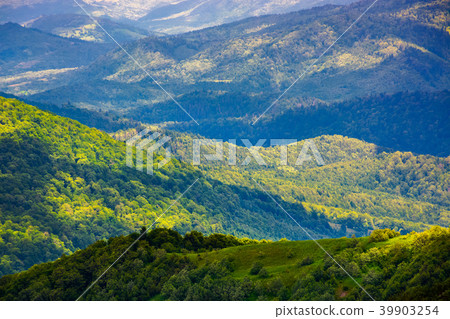 beautiful rolling hills of Carpathian mountains beautiful rolling hills of Carpathian mountains 39903254