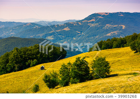 wooden shed on the grassy hillside 39903268