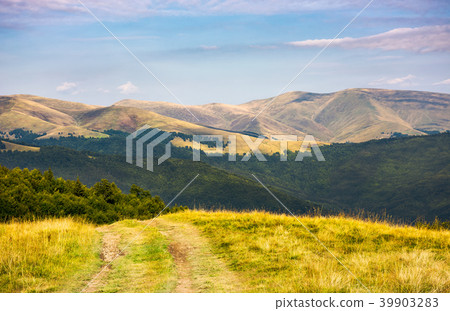 country road through grassy hillside country road through grassy hillside 39903283