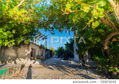馬爾代夫島嶼景觀 39903649